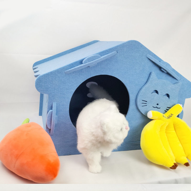 ʼ@Mr(sh)oһ(g)(wn)ļ